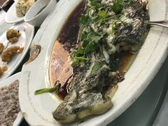 -新陶陶酒家
