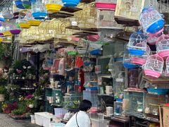 -溪岸路花鸟市场