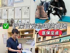 -美联众合爱康动物医院•复杂内科•肿瘤科•牙科•腔镜诊疗中心