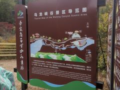 -百里山水画廊乌龙峡谷