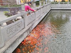 -会龙寺