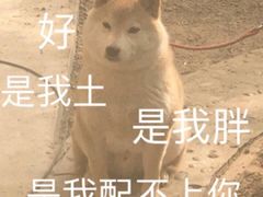 -茉沏(相城天虹店)