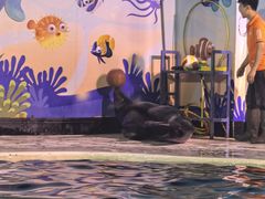 -太平洋海底世界