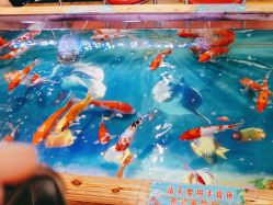 -卡通尼乐园·生日会(烟台永旺店)