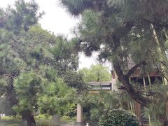 -扬州瘦西湖温泉