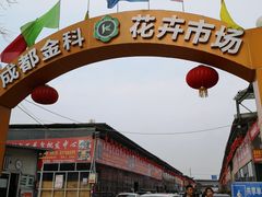 -金科花卉市场