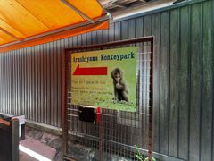 -岚山猴子公园
