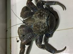 椰子蟹-海盗餐厅