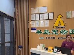 -半岛宠物医院24小时·内窥镜·牙科·碎石中心(府城大道店)