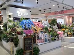 -巴黎春天(浦建店)
