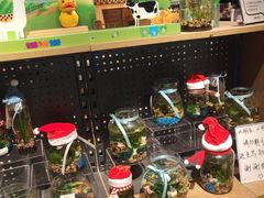 -酷乐潮玩(颛桥万达店)