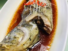-碧丽宫大酒店(召稼楼店)