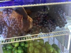 -雾与山茶(大禹城店)