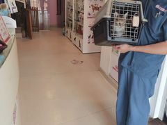 -哆趣宠物医院·眼科·内镜·急重症转诊中心(上海店)