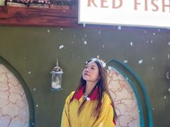 -世界之窗阿尔卑斯冰雪世界