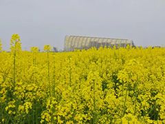 -中国天府农业博览园