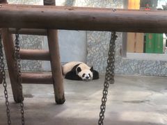 -西安秦岭野生动物园