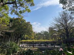 -深圳国际园林花卉博览园