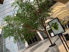 -BeauTea水仙(coco park店)