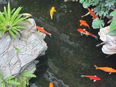 -广州白天鹅宾馆