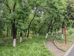 -千佛山风景名胜区