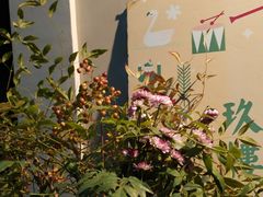 -花满楼(启秀路店)