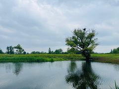 -良渚古城遗址公园
