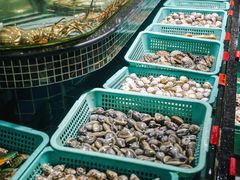 -海大大蒸汽海鲜餐厅·粤菜·特色小炒(欢乐颂店)