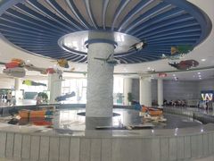 -东莞市科学技术博物馆