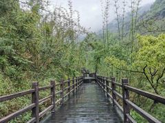 -赤水丹霞旅游区·佛光岩