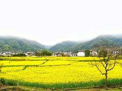 -传统手工面