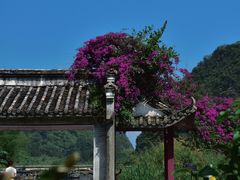 -靖西鹅泉风景区