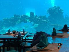-海棠湾洲际-涛·海底餐厅·美人鱼·自助餐·海底隧道