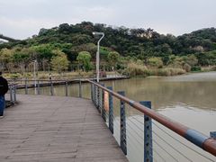 -飞凤山奥体公园