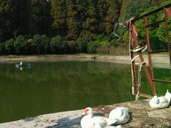 -武汉世外桃源农庄