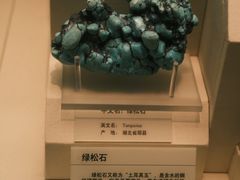 -天津自然博物馆