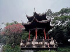 -峨眉山报国寺