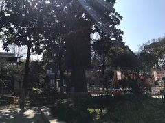 -常熟方塔园