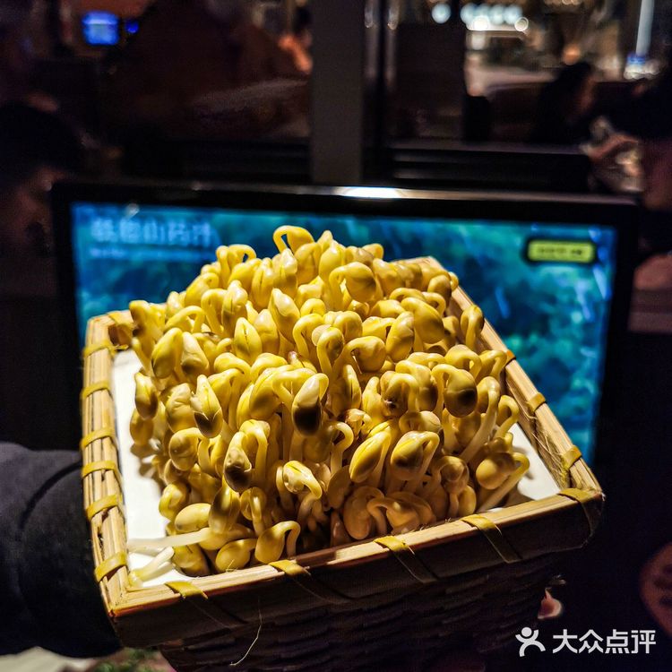 终于武汉也拥有了巴奴毛肚火锅!!