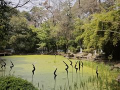 -塔子山公园