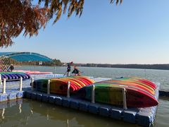 -上海海湾国家森林公园