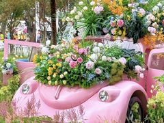 -旧雨咖啡·CoffeeFORU(黄村奥体店)