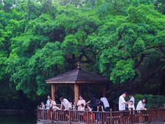 -东莞市可园博物馆