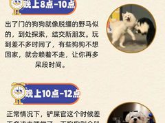 -爱侣宠医·鹦鹉专科·小型哺乳类·异宠专科(灵石路店)