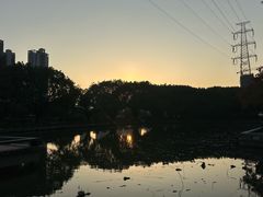 -光明港公园