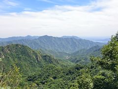-大岭沟猕猴桃谷风景区