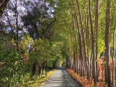 -黑龙江省森林植物园