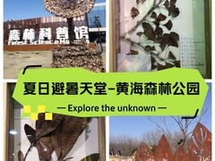 -黄海国家森林公园