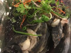 -越海渔村