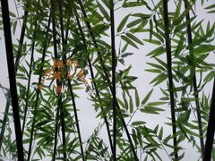 -好兄弟郭巨海鲜(天一阁店)